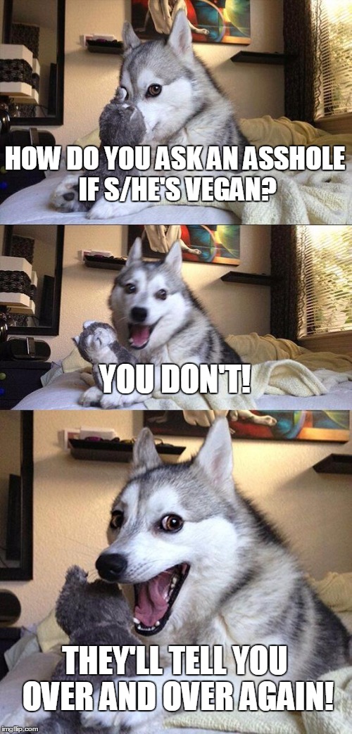 Bad Pun Dog Meme | HOW DO YOU ASK AN ASSHOLE IF S/HE'S VEGAN? YOU DON'T! THEY'LL TELL YOU OVER AND OVER AGAIN! | image tagged in memes,bad pun dog | made w/ Imgflip meme maker