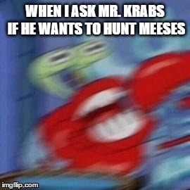 Mr. Krabs and the Meeses | WHEN I ASK MR. KRABS IF HE WANTS TO HUNT MEESES | image tagged in hey internet | made w/ Imgflip meme maker