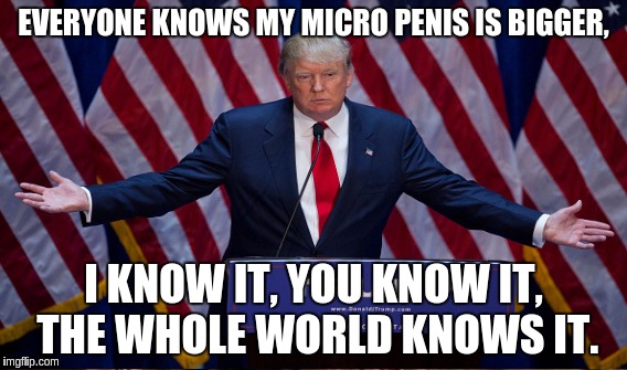 EVERYONE KNOWS MY MICRO P**IS IS BIGGER, I KNOW IT, YOU KNOW IT, THE WHOLE WORLD KNOWS IT. | made w/ Imgflip meme maker