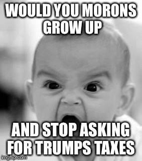 Angry Baby Meme | WOULD YOU MORONS GROW UP; AND STOP ASKING FOR TRUMPS TAXES | image tagged in memes,angry baby | made w/ Imgflip meme maker