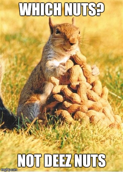 Which Nuts Imgflip