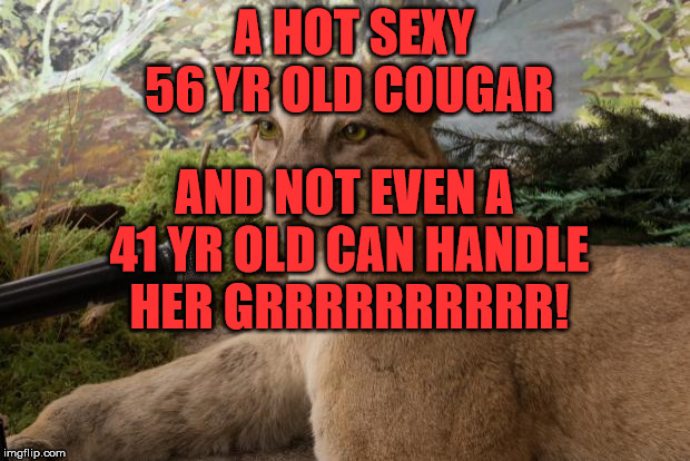 Interview Cougar | AND NOT EVEN A 41 YR OLD CAN HANDLE HER GRRRRRRRRRR! A HOT SEXY 56 YR OLD COUGAR | image tagged in interview cougar | made w/ Imgflip meme maker