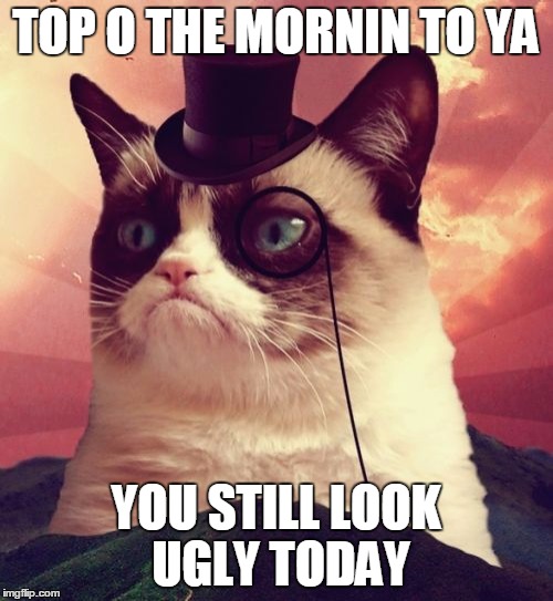 Grumpy Cat Top Hat | TOP O THE MORNIN TO YA; YOU STILL LOOK UGLY TODAY | image tagged in memes,grumpy cat top hat,grumpy cat | made w/ Imgflip meme maker