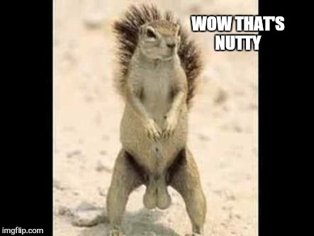 WOW THAT'S NUTTY | made w/ Imgflip meme maker
