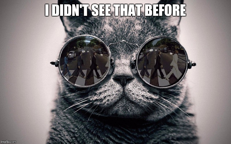 Beatles cat | I DIDN'T SEE THAT BEFORE | image tagged in beatles cat | made w/ Imgflip meme maker