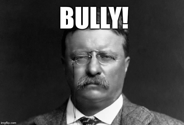Serious Teddy Roosevelt | BULLY! | image tagged in serious teddy roosevelt | made w/ Imgflip meme maker