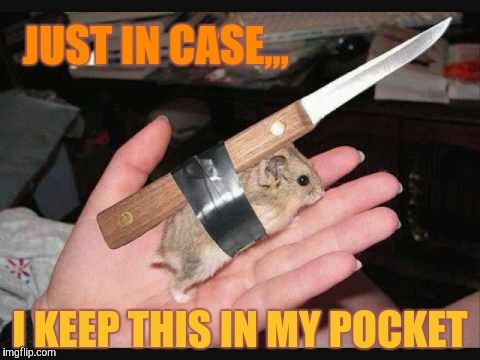 Lock and Load Hamster | JUST IN CASE,,, I KEEP THIS IN MY POCKET | image tagged in lock and load hamster | made w/ Imgflip meme maker