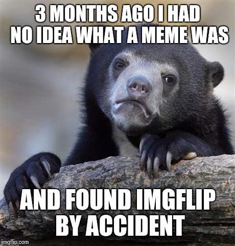 Confession Bear Meme | 3 MONTHS AGO I HAD NO IDEA WHAT A MEME WAS; AND FOUND IMGFLIP BY ACCIDENT | image tagged in memes,confession bear | made w/ Imgflip meme maker