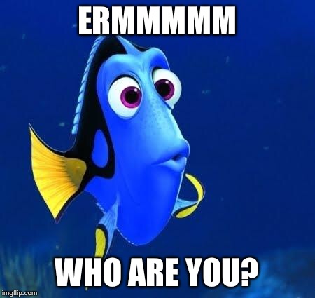 dory | ERMMMMM; WHO ARE YOU? | image tagged in dory | made w/ Imgflip meme maker
