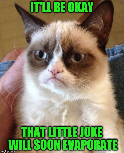 Grumpy Cat Meme | IT'LL BE OKAY THAT LITTLE JOKE WILL SOON EVAPORATE | image tagged in memes,grumpy cat | made w/ Imgflip meme maker
