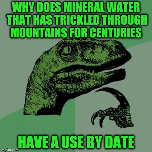 Philosoraptor Meme | WHY DOES MINERAL WATER THAT HAS TRICKLED THROUGH MOUNTAINS FOR CENTURIES; HAVE A USE BY DATE | image tagged in memes,philosoraptor | made w/ Imgflip meme maker