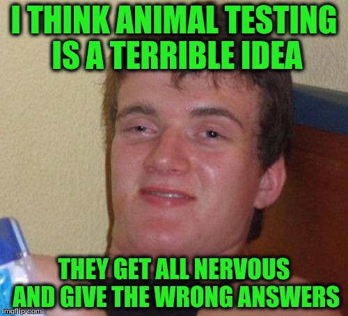 10 Guy Meme | I THINK ANIMAL TESTING IS A TERRIBLE IDEA; THEY GET ALL NERVOUS AND GIVE THE WRONG ANSWERS | image tagged in memes,10 guy | made w/ Imgflip meme maker