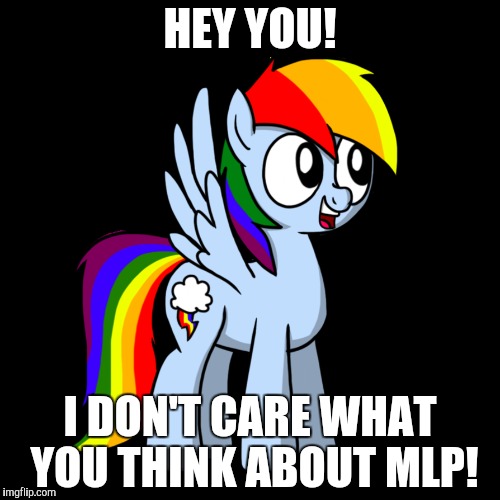 HEY YOU! I DON'T CARE WHAT YOU THINK ABOUT MLP! | made w/ Imgflip meme maker