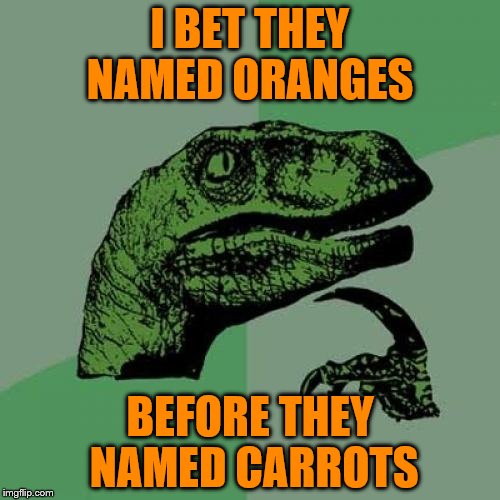 Credit: Demetri Martin | I BET THEY NAMED ORANGES; BEFORE THEY NAMED CARROTS | image tagged in memes,philosoraptor | made w/ Imgflip meme maker