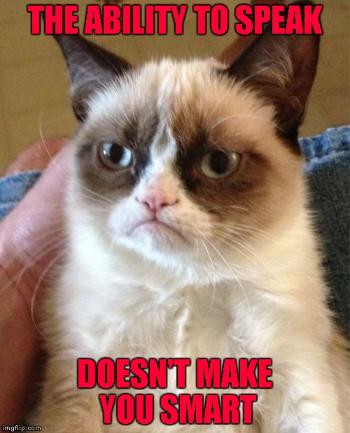 Grumpy Cat Meme | THE ABILITY TO SPEAK DOESN'T MAKE YOU SMART | image tagged in memes,grumpy cat | made w/ Imgflip meme maker