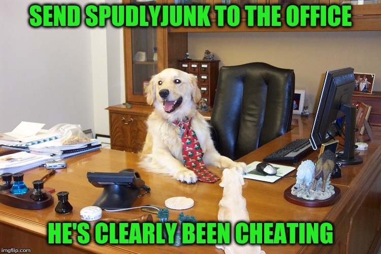 SEND SPUDLYJUNK TO THE OFFICE HE'S CLEARLY BEEN CHEATING | made w/ Imgflip meme maker