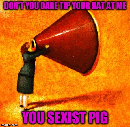 DON'T YOU DARE TIP YOUR HAT AT ME YOU SEXIST PIG | made w/ Imgflip meme maker