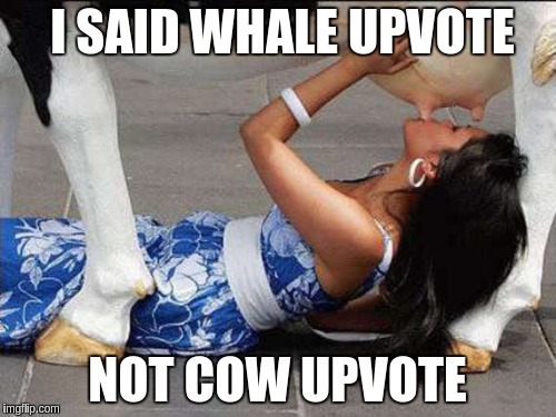 I SAID WHALE UPVOTE; NOT COW UPVOTE | made w/ Imgflip meme maker