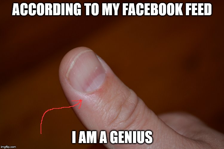 ACCORDING TO MY FACEBOOK FEED; I AM A GENIUS | image tagged in memes,facebook,clickbait,funny | made w/ Imgflip meme maker