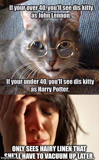 Cat  | ONLY SEES HAIRY LINEN THAT SHE'LL HAVE TO VACUUM UP LATER. | image tagged in cat | made w/ Imgflip meme maker