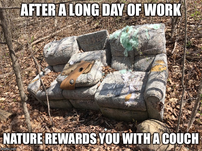 AFTER A LONG DAY OF WORK; NATURE REWARDS YOU WITH A COUCH | image tagged in couch | made w/ Imgflip meme maker