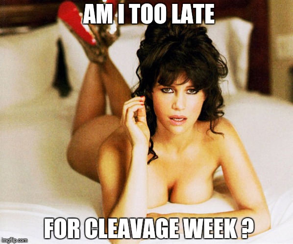 Carla Gugino | AM I TOO LATE FOR CLEAVAGE WEEK ? | image tagged in carla gugino | made w/ Imgflip meme maker