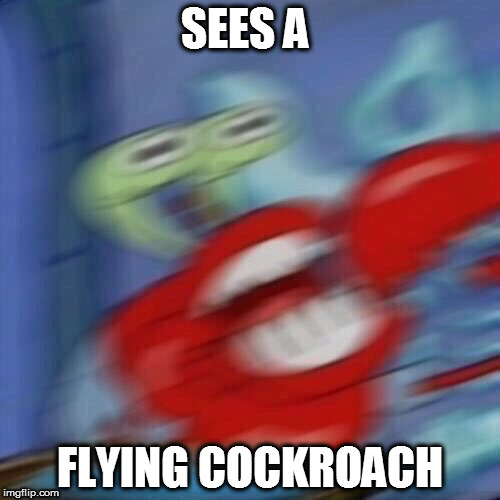 Mr krabs blur | SEES A; FLYING COCKROACH | image tagged in mr krabs blur | made w/ Imgflip meme maker