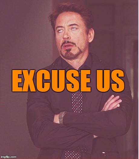 Face You Make Robert Downey Jr Meme | EXCUSE US | image tagged in memes,face you make robert downey jr | made w/ Imgflip meme maker