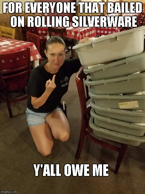 Nikki bird | FOR EVERYONE THAT BAILED ON ROLLING SILVERWARE; Y'ALL OWE ME | image tagged in nikki_bird,memes | made w/ Imgflip meme maker