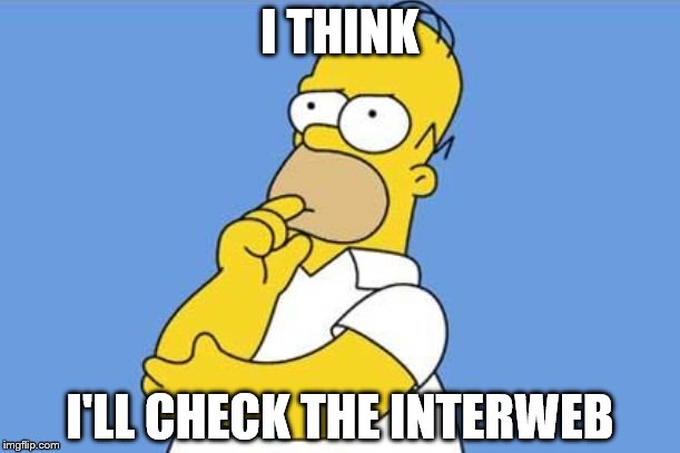 Homer thinking | I THINK I'LL CHECK THE INTERWEB | image tagged in homer thinking | made w/ Imgflip meme maker
