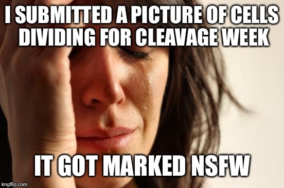 I guess electron microscopes are the new fad for taking naughty pictures | I SUBMITTED A PICTURE OF CELLS DIVIDING FOR CLEAVAGE WEEK; IT GOT MARKED NSFW | image tagged in memes,first world problems,cleavage week,cells | made w/ Imgflip meme maker