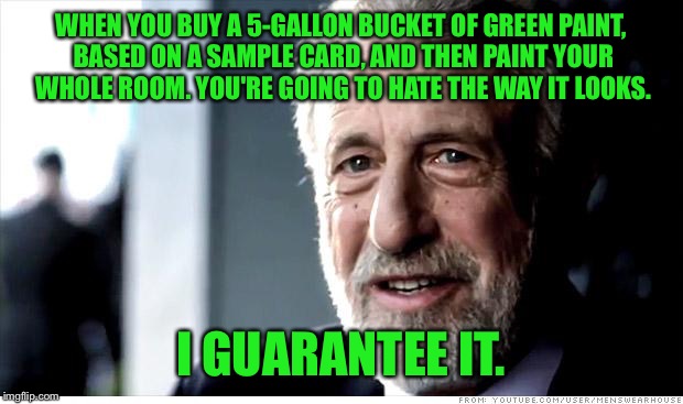 I Guarantee It | WHEN YOU BUY A 5-GALLON BUCKET OF GREEN PAINT, BASED ON A SAMPLE CARD, AND THEN PAINT YOUR WHOLE ROOM. YOU'RE GOING TO HATE THE WAY IT LOOKS. I GUARANTEE IT. | image tagged in memes,i guarantee it | made w/ Imgflip meme maker