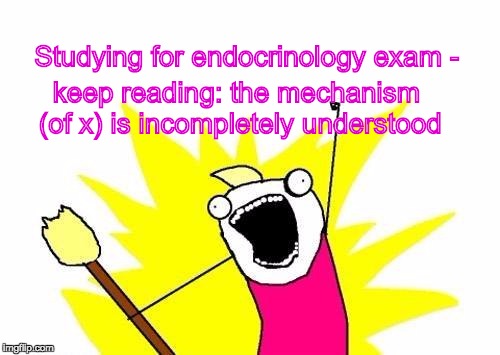 Endocrine wormhole | Studying for endocrinology exam -; keep reading: the mechanism (of x) is incompletely understood | image tagged in studying,exams | made w/ Imgflip meme maker