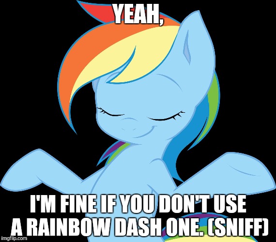 Yeah rd | YEAH, I'M FINE IF YOU DON'T USE A RAINBOW DASH ONE. (SNIFF) | image tagged in yeah rd | made w/ Imgflip meme maker