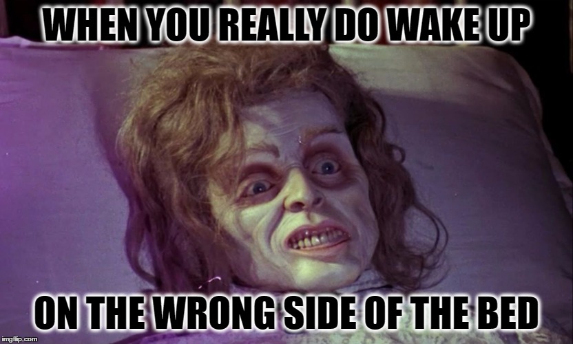 WHEN YOU REALLY DO WAKE UP; ON THE WRONG SIDE OF THE BED | image tagged in ugly,funny,memes | made w/ Imgflip meme maker
