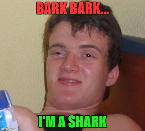 10 Guy Meme | BARK BARK... I'M A SHARK | image tagged in memes,10 guy | made w/ Imgflip meme maker