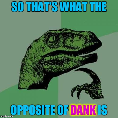Philosoraptor Meme | SO THAT'S WHAT THE OPPOSITE OF DANK IS DANK | image tagged in memes,philosoraptor | made w/ Imgflip meme maker