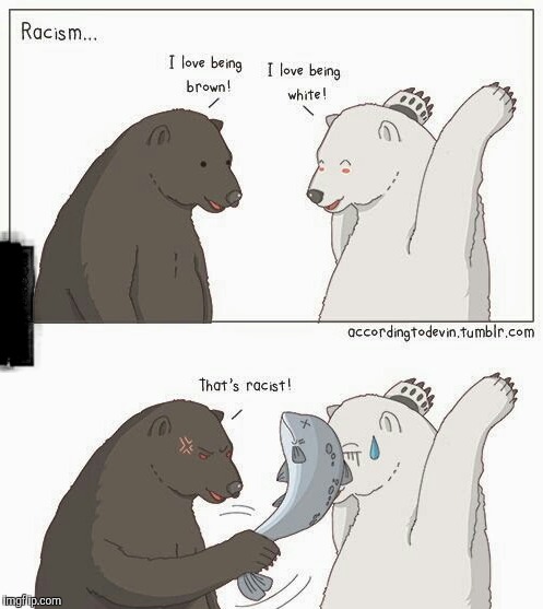 Bear things | image tagged in memes | made w/ Imgflip meme maker