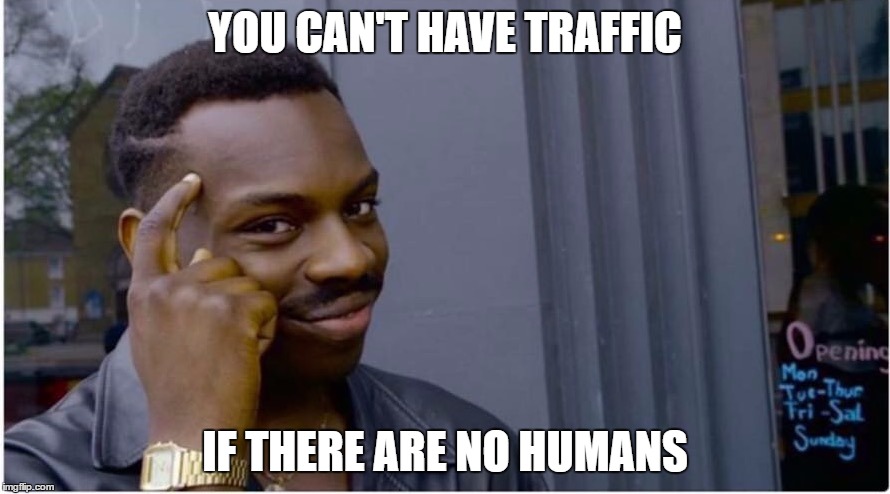 Roll safe | YOU CAN'T HAVE TRAFFIC; IF THERE ARE NO HUMANS | image tagged in roll safe | made w/ Imgflip meme maker