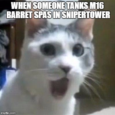 Shocked Cat | WHEN SOMEONE TANKS M16 BARRET SPAS IN SNIPERTOWER | image tagged in shocked cat | made w/ Imgflip meme maker