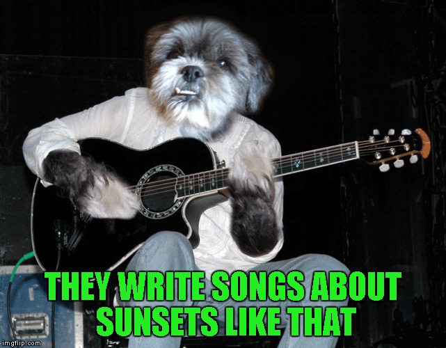 THEY WRITE SONGS ABOUT SUNSETS LIKE THAT | made w/ Imgflip meme maker