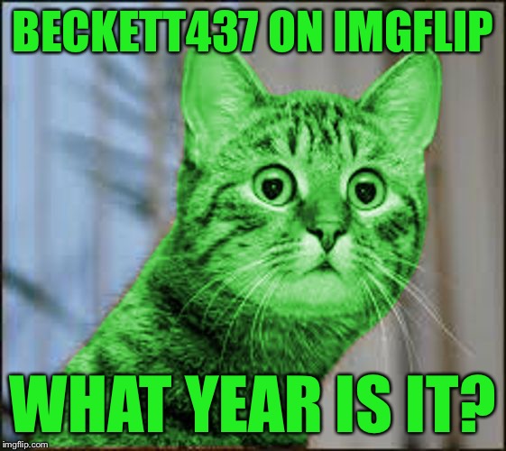 RayCat WTF | BECKETT437 ON IMGFLIP WHAT YEAR IS IT? | image tagged in raycat wtf | made w/ Imgflip meme maker