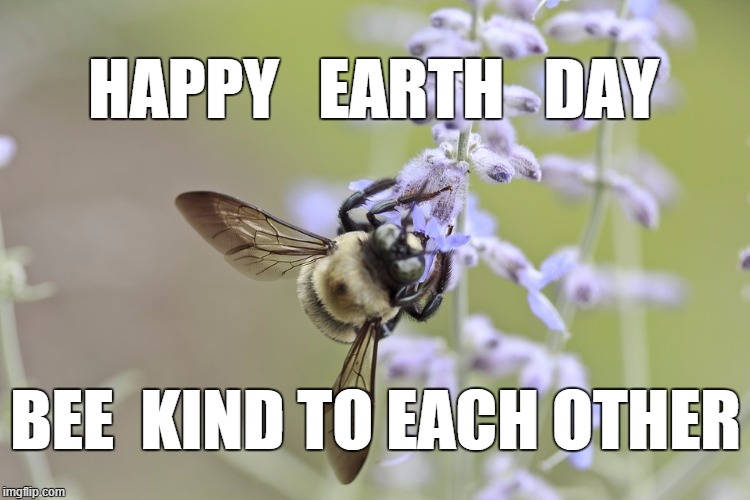 Bee Kind  | HAPPY   EARTH   DAY; BEE  KIND TO EACH OTHER | image tagged in earth day,bee,be kind | made w/ Imgflip meme maker