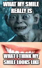 Smile! | WHAT MY SMILE REALLY IS; WHAT I THINK MY SMILE LOOKS LIKE | image tagged in gollum,memes | made w/ Imgflip meme maker