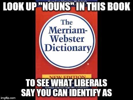 the dictionary of foolish liberal identifiers | LOOK UP "NOUNS" IN THIS BOOK; TO SEE WHAT LIBERALS SAY YOU CAN IDENTIFY AS | image tagged in memes,funny,liberal logic | made w/ Imgflip meme maker
