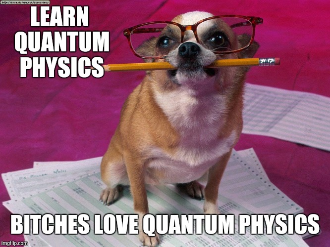 LEARN QUANTUM PHYSICS B**CHES LOVE QUANTUM PHYSICS | made w/ Imgflip meme maker