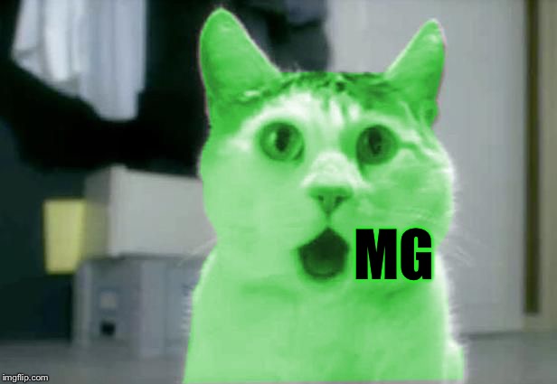 OMG RayCat | MG | image tagged in omg raycat | made w/ Imgflip meme maker