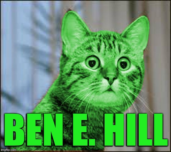 RayCat WTF | BEN E. HILL | image tagged in raycat wtf | made w/ Imgflip meme maker