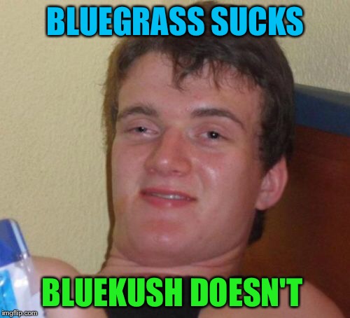 10 Guy Meme | BLUEGRASS SUCKS BLUEKUSH DOESN'T | image tagged in memes,10 guy | made w/ Imgflip meme maker