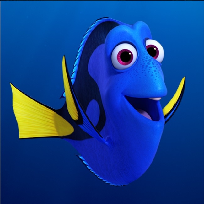 Dory senpai Blank Meme Template